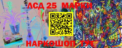 прущие грибы Шахты